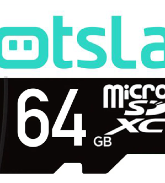 Botslab 64 GB micro sd Hafıza Kart araç kamera Uyumlu 3009 Botslab Türkiye